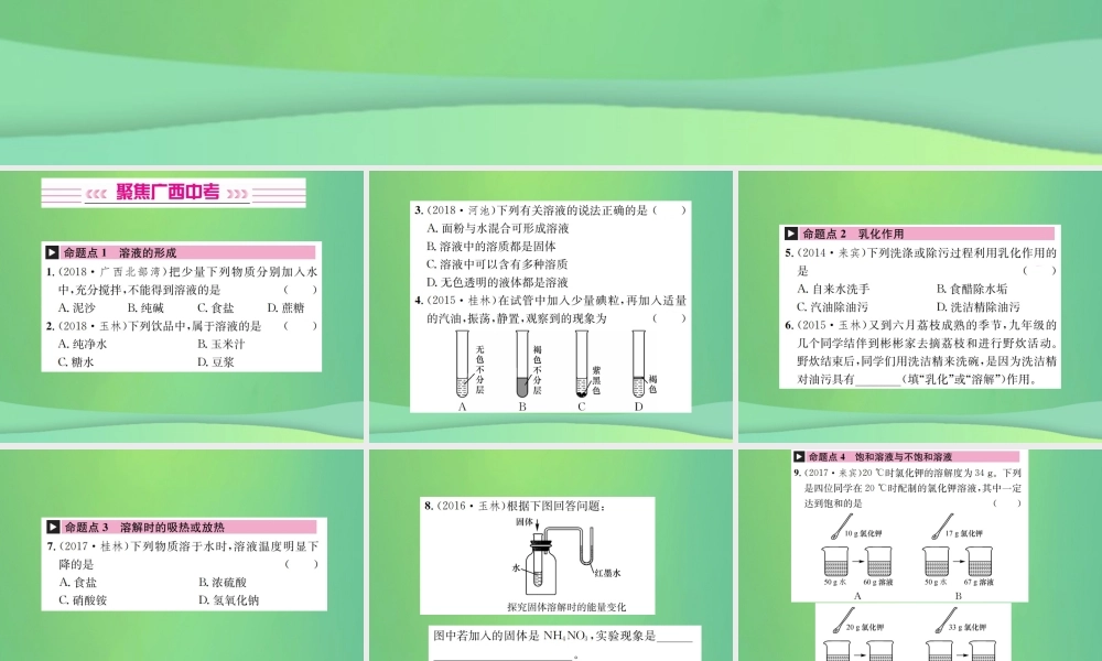 中考化学总复习 教材考点梳理 第9单元 溶液课件