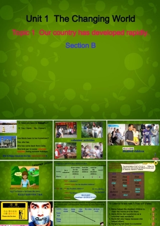 九年级英语上册 Unit 1 Topic 1 Our country has developed rapidly Section B课件 (新版)仁爱版 课件