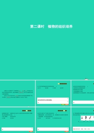 八年级生物上册 第四单元 第一章 第七节 植物的营养繁殖(第2课时 植物的组织培养)课件 (新版)济南版 课件