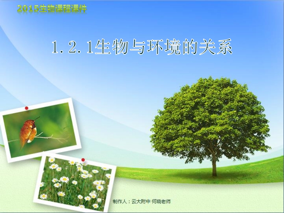 七年级生物上册 生物与环境的关系课件(pdf) 新人教版 课件_第3页