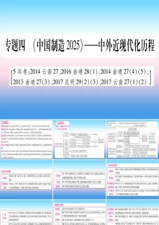 中考历史准点备考 板块六 知能综合提升 专题四(中国制造)—中外近现代化历程课件 新人教版 课件