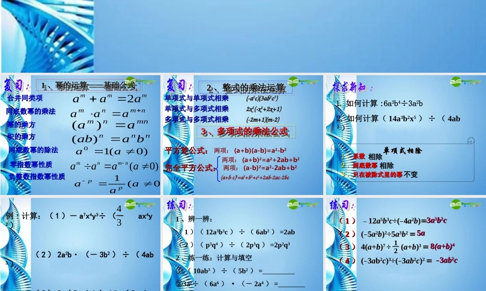 七年级数学下册 8.4整式除法课件 沪科版 课件