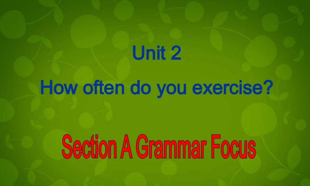 八年级英语上册 Unit 2 How often do you exercise Section A 2课件 (新版)人教新目标版 课件
