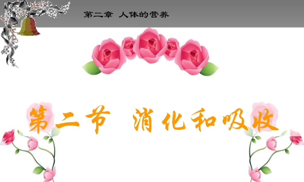 七年级生物下册：第四单元第二章第二节消化和吸收2课件 人教版 课件