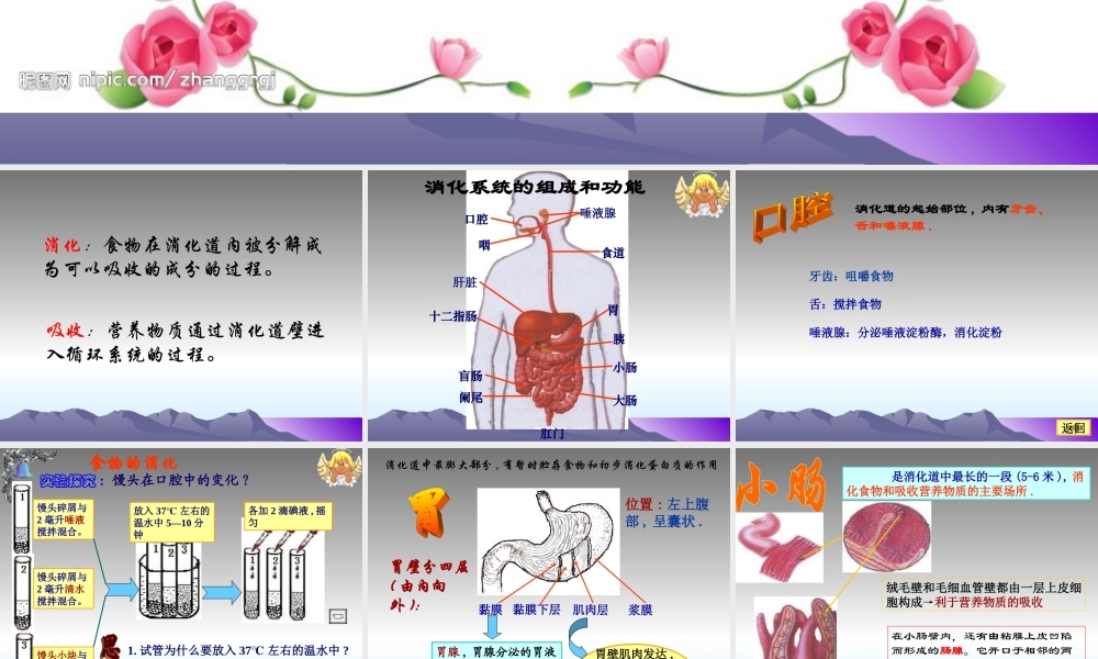七年级生物下册：第四单元第二章第二节消化和吸收2课件 人教版 课件