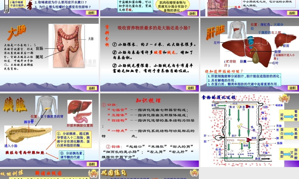 七年级生物下册：第四单元第二章第二节消化和吸收2课件 人教版 课件