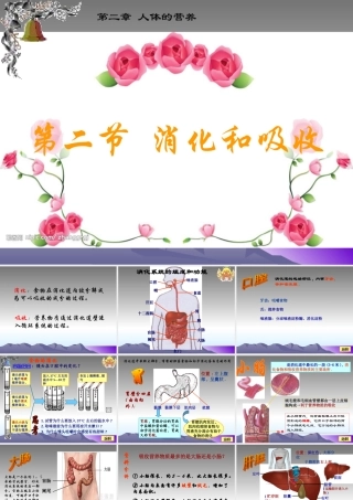 七年级生物下册：第四单元第二章第二节消化和吸收2课件 人教版 课件