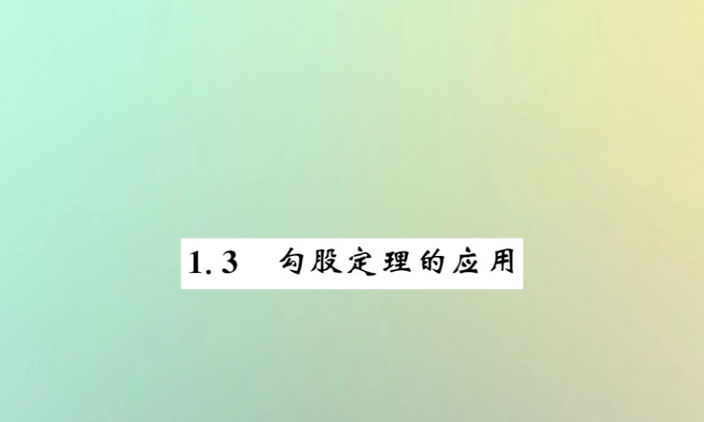 八年级数学上册 第一章 勾股定理 1.3 勾股定理的应用习题课件 (新版)北师大版 课件
