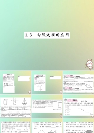 八年级数学上册 第一章 勾股定理 1.3 勾股定理的应用习题课件 (新版)北师大版 课件