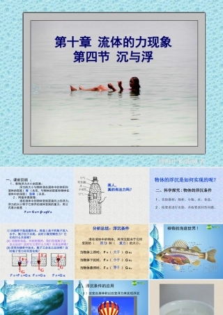 八年级物理 沉与浮课件 教科版 课件