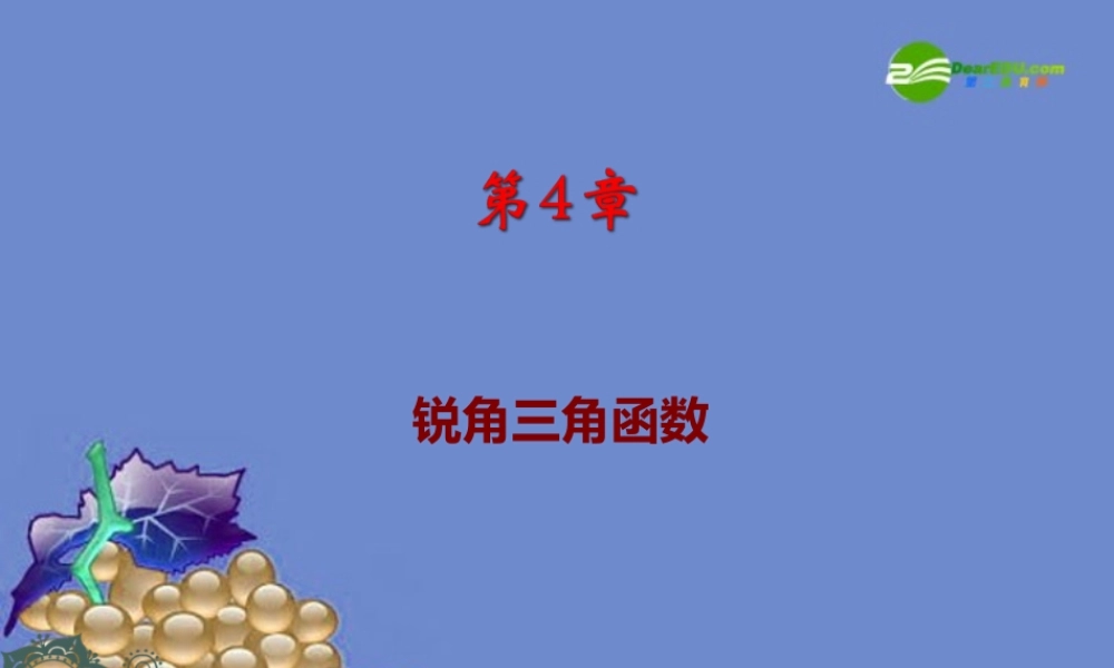 九年级数学上册 第四章解直角三角形复习课件 湘教版 课件