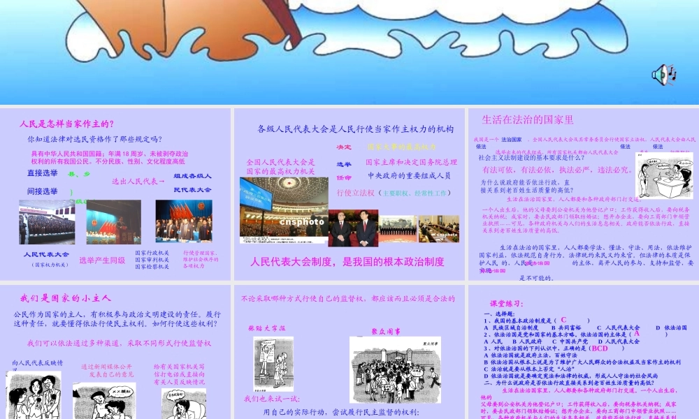 人教版初三政治人民当家作主的法治国家2 课件