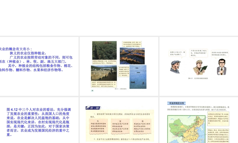 八年级地理 因地制宜的发展农业课件 新课标 人教版 课件