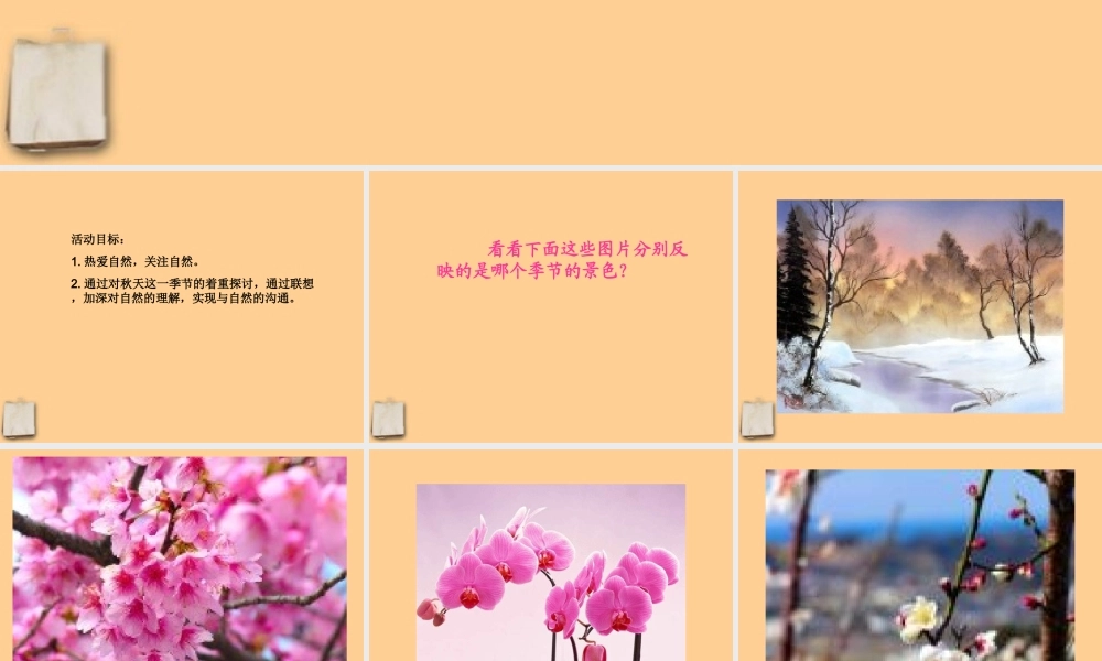 七年级语文上册 综合性学习(感受自然)课件 人教新课标版 课件