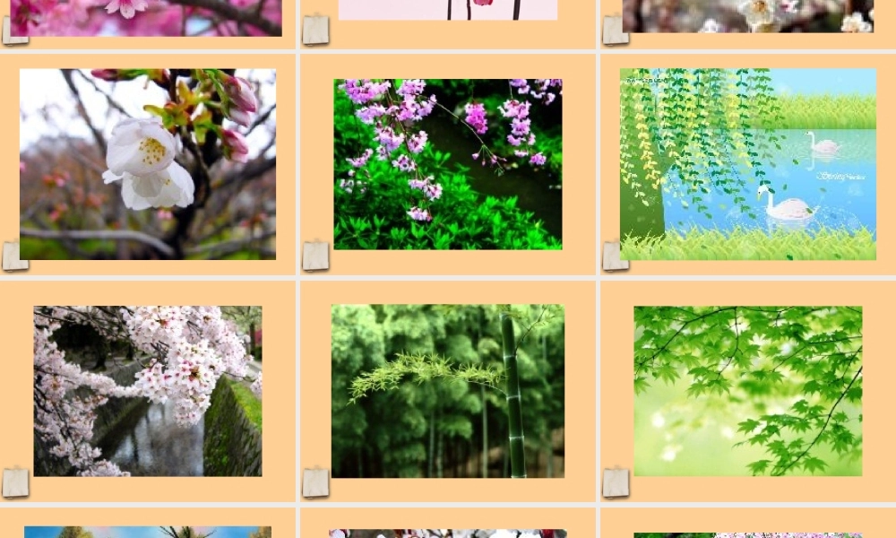 七年级语文上册 综合性学习(感受自然)课件 人教新课标版 课件