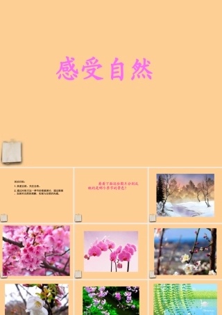 七年级语文上册 综合性学习(感受自然)课件 人教新课标版 课件