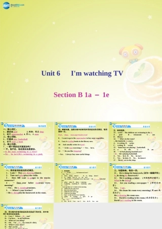 七年级英语下册 Unit 6 I m watching TV Section B 1a－1e(预习导航+堂堂清+日日清)课件 (新版)人教新目标版 课件