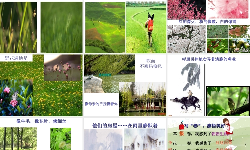 七年级语文上册_第三单元_11.春 (2)课件新人教版 课件