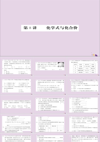 中考化学总复习 第一轮复习 系统梳理 夯基固本 第8讲 化学式和化学价练习课件