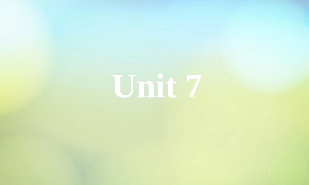 七年级英语上册 Unit 7 How much are these socks Section A 2课件 (新版)人教新目标版 课件