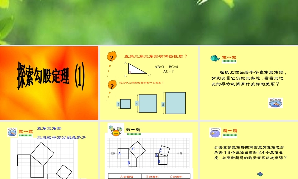 八年级数学探索勾股定理课件7 浙教版 课件