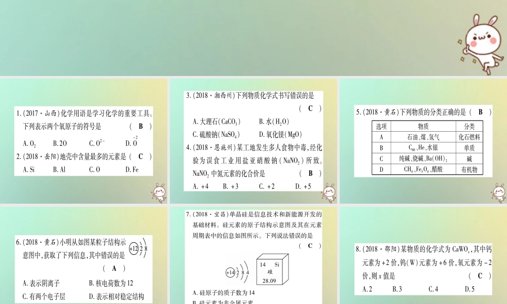 中考化学准点备考复习 专项突破一 化学用语课件 新人教版 课件