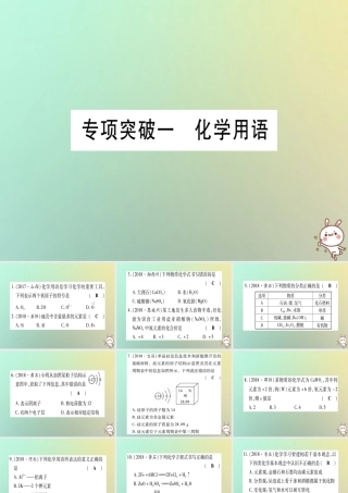 中考化学准点备考复习 专项突破一 化学用语课件 新人教版 课件