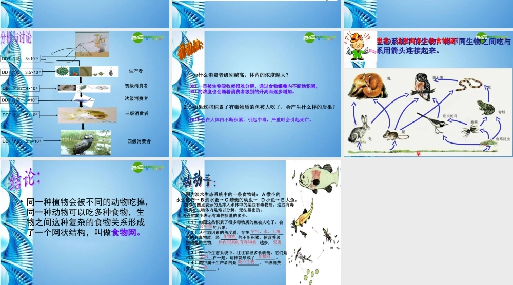 八年级生物下册 第六单元第一章第二节食物链和食物网课件 济南版 课件