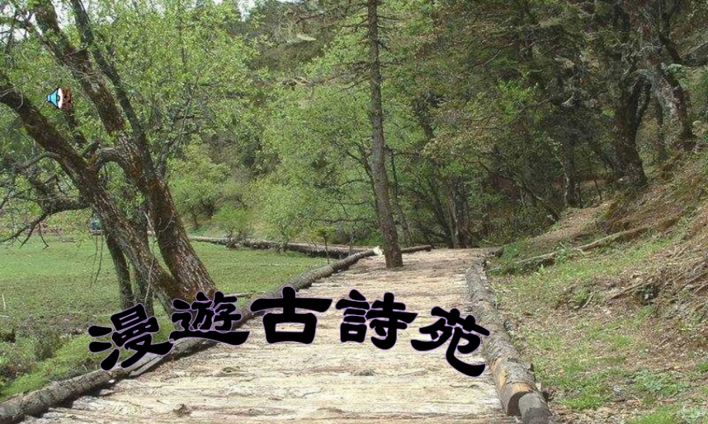 八年级语文下册 第5单元(综合活动 古诗苑漫步)课件 (新版)新人教版 课件