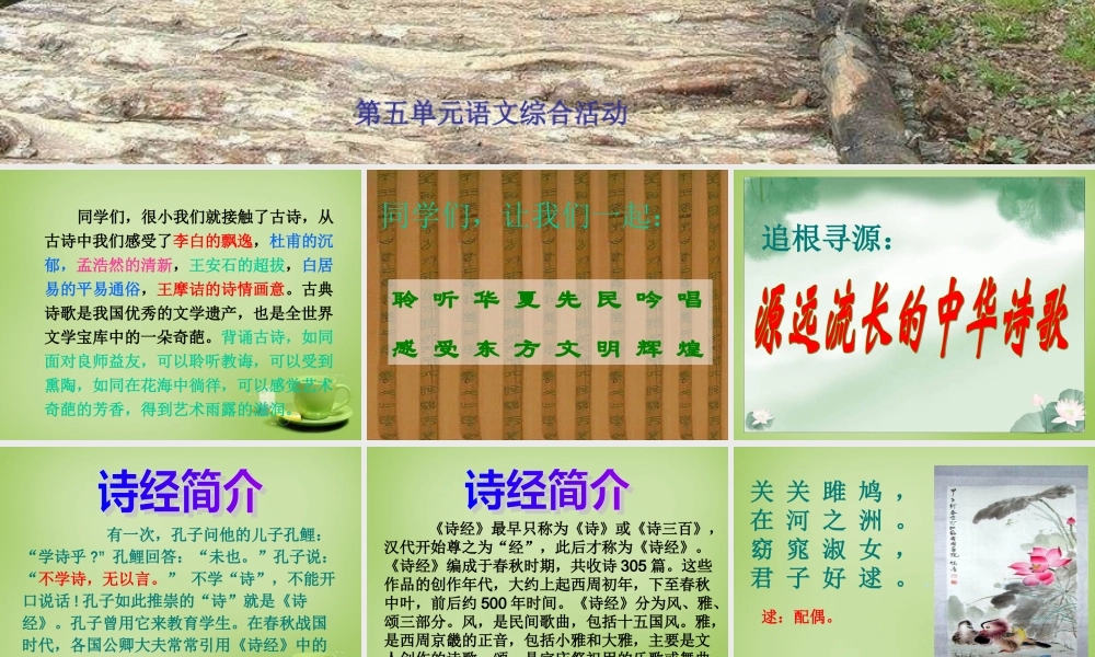 八年级语文下册 第5单元(综合活动 古诗苑漫步)课件 (新版)新人教版 课件