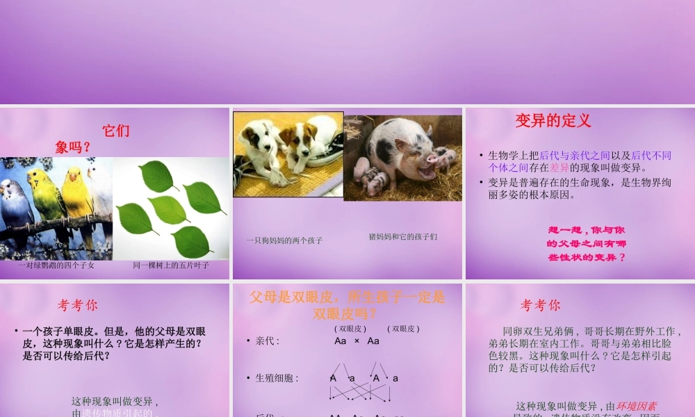 八年级生物上册 第四单元 第四章 第四节 生物的变异课件 (新版)济南版 课件