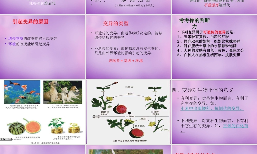 八年级生物上册 第四单元 第四章 第四节 生物的变异课件 (新版)济南版 课件