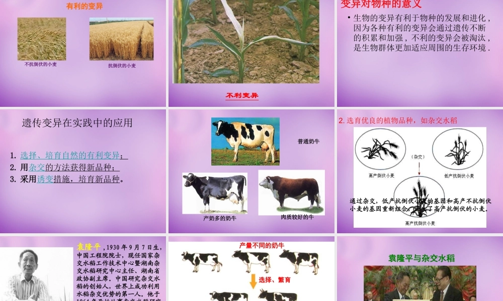 八年级生物上册 第四单元 第四章 第四节 生物的变异课件 (新版)济南版 课件