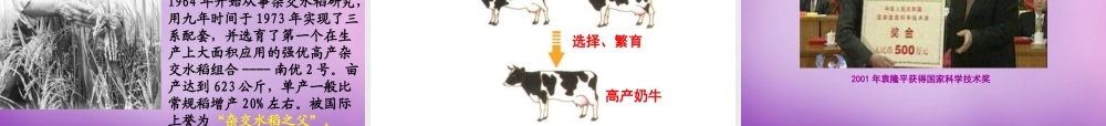 八年级生物上册 第四单元 第四章 第四节 生物的变异课件 (新版)济南版 课件
