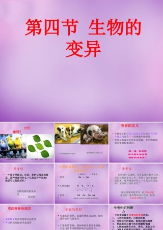 八年级生物上册 第四单元 第四章 第四节 生物的变异课件 (新版)济南版 课件