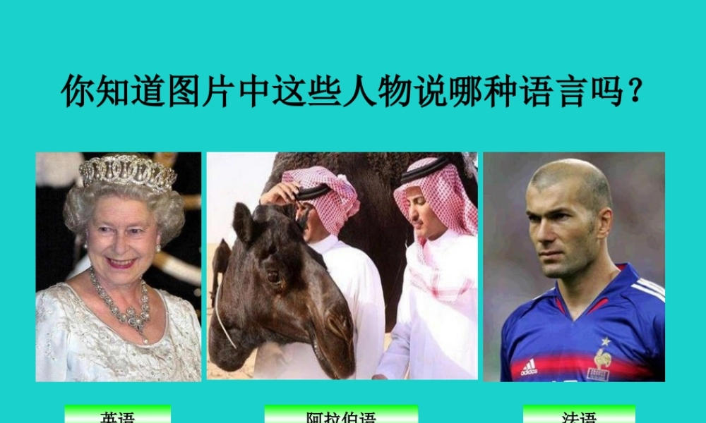 八年级地理上册 第三章 第二节 语言和宗教 猜语言课件 中图版 课件