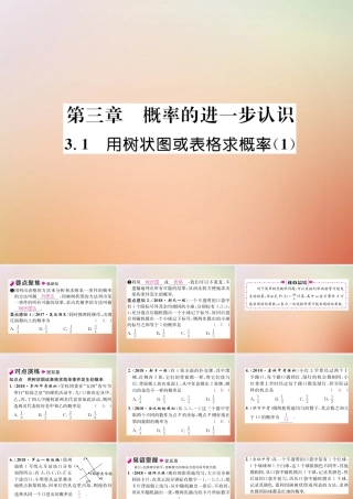 九年级数学上册 第3章 概率的进一步认识 31 用树状图或表格求概率(1)作业课件 (新版)北师大版 课件