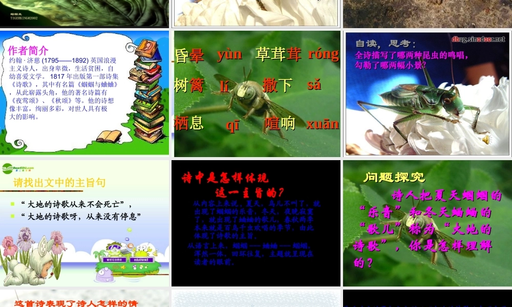 九年级语文上册 (外国诗两首)教学课件 人教新课标版 课件