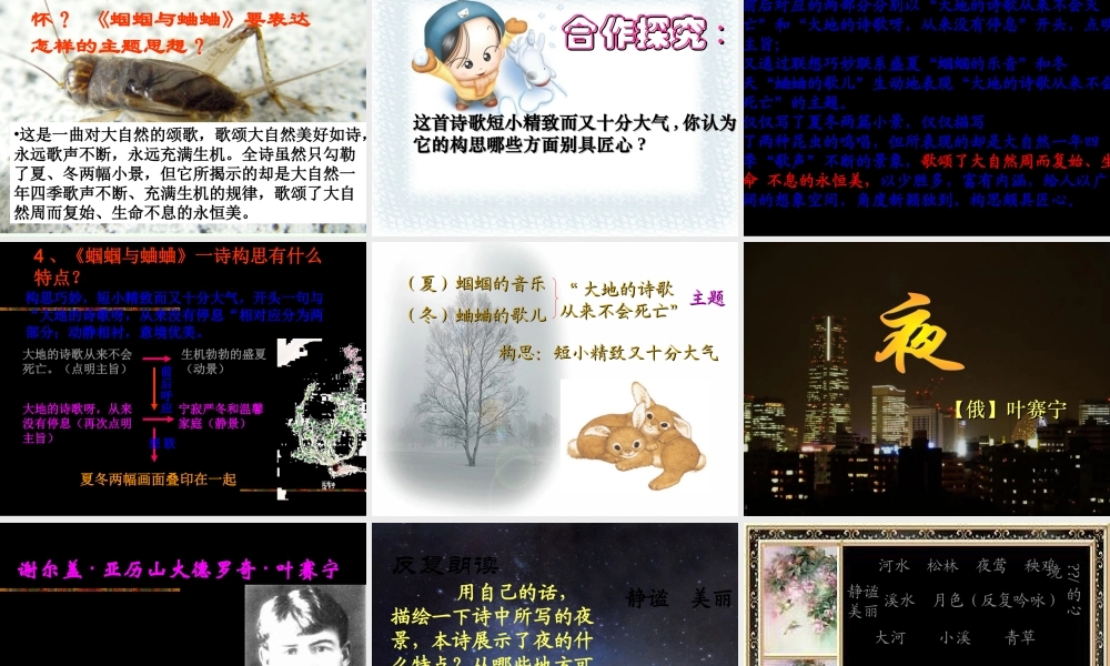 九年级语文上册 (外国诗两首)教学课件 人教新课标版 课件