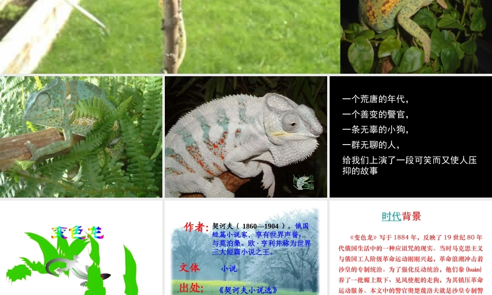 九年级语文第七课 变色龙 课件人教版 课件