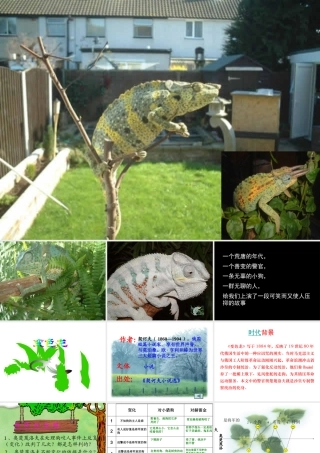 九年级语文第七课 变色龙 课件人教版 课件