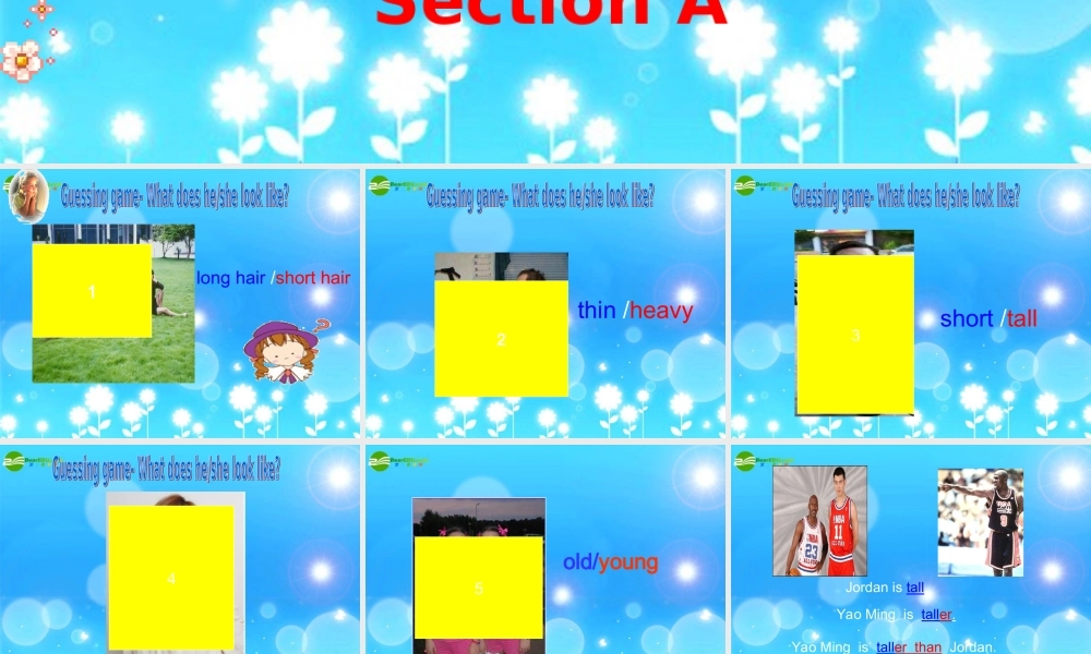 八年级英语上册 Unit 6 I m more outgoing than my sister Section A课件 人教新目标版 课件