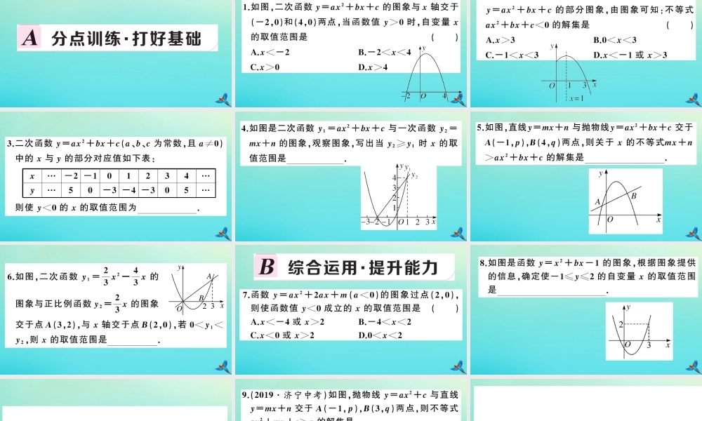 九年级数学上册 第21章 二次函数与反比例函数 213 二次函数与一元二次方程 第2课时 二次函数与一元二次不等式作业课件 (新版)沪科版 课件