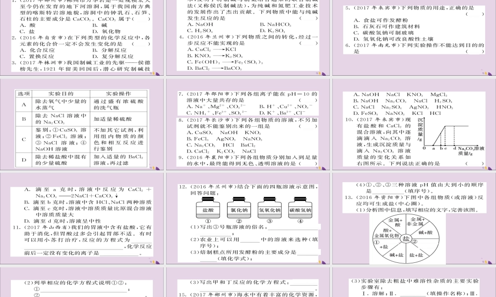 中考化学总复习 第一轮复习 系统梳理 夯基固本 第22讲 生活中常见的盐练习课件