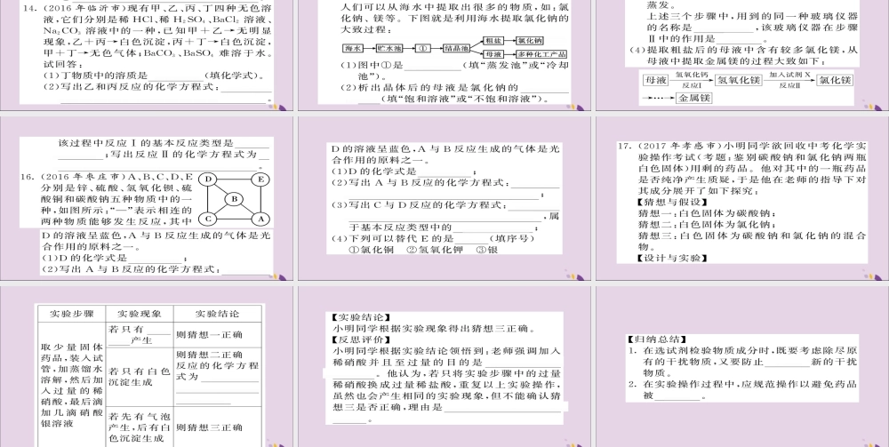 中考化学总复习 第一轮复习 系统梳理 夯基固本 第22讲 生活中常见的盐练习课件