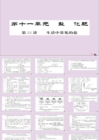 中考化学总复习 第一轮复习 系统梳理 夯基固本 第22讲 生活中常见的盐练习课件