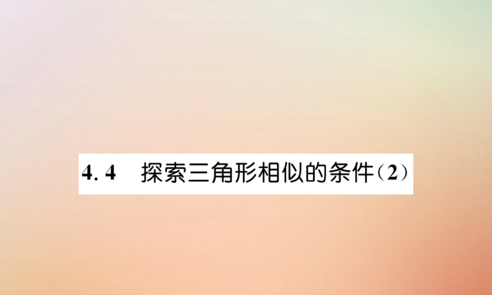 九年级数学上册 第4章 图形的相似 44 探索三角形相似的条件(2)作业课件 (新版)北师大版 课件