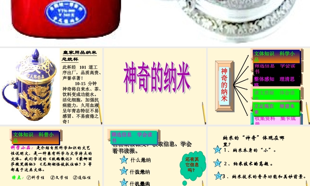 七年级语文下册 第17课(神奇的纳米)课件 鄂教版 课件