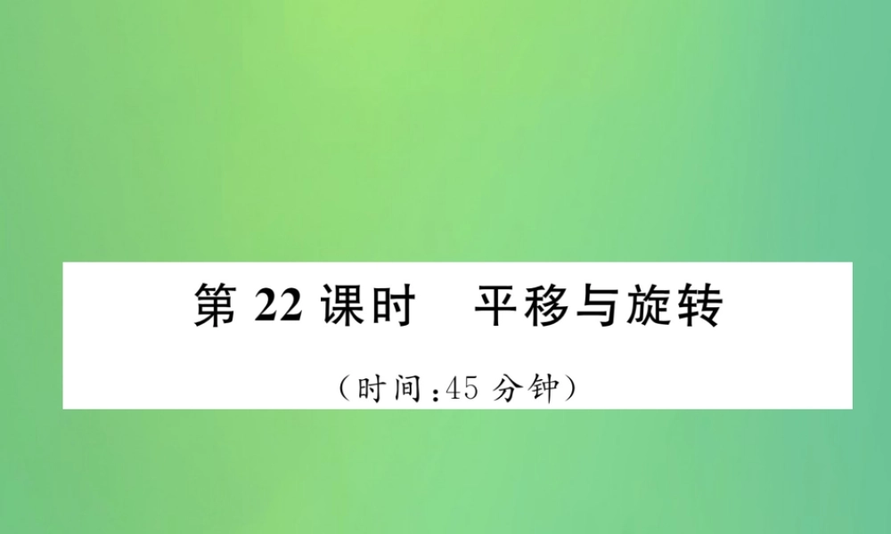 中考数学复习 第6章 投影与视图 第22课时 平移与旋转(精练)课件