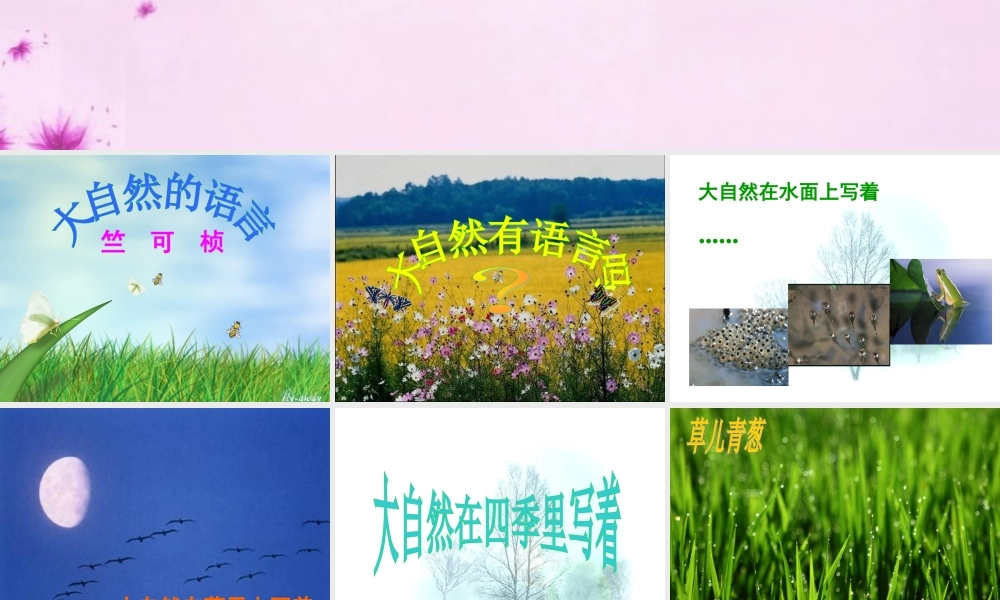 八年级语文上册 16(大自然的语言)课件 新人教版 课件